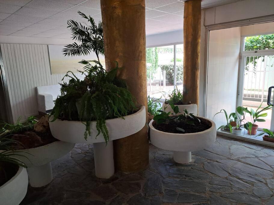 Holiday Center Apartamento Vistas Mar, Acceso Directo Playa Y Piscina ロザス エクステリア 写真